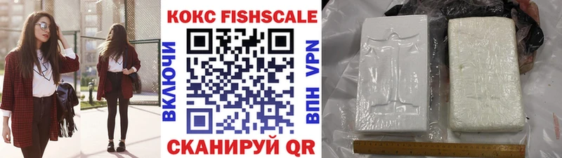 купить наркоту  mega рабочий сайт  COCAIN VHQ  Пустошка 