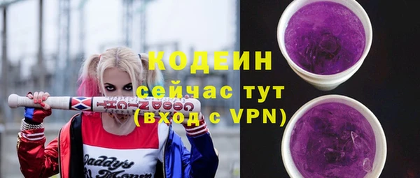 шишки Нягань