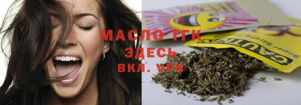 стаф Щигры