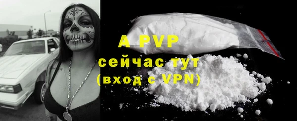 амф Дмитров