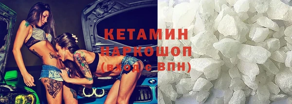 стаф Щигры