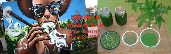 амф Дмитров