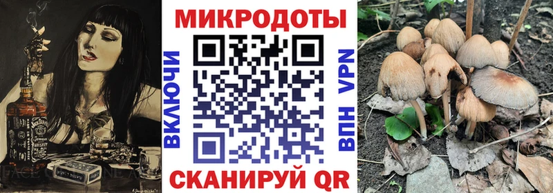 где купить наркотик Пустошка Галлюциногенные грибы прущие грибы